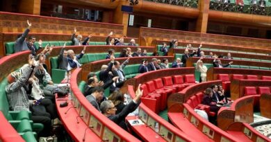 La Chambre des Conseillers approuve à l’unanimité le projet de loi sur les armes à feu