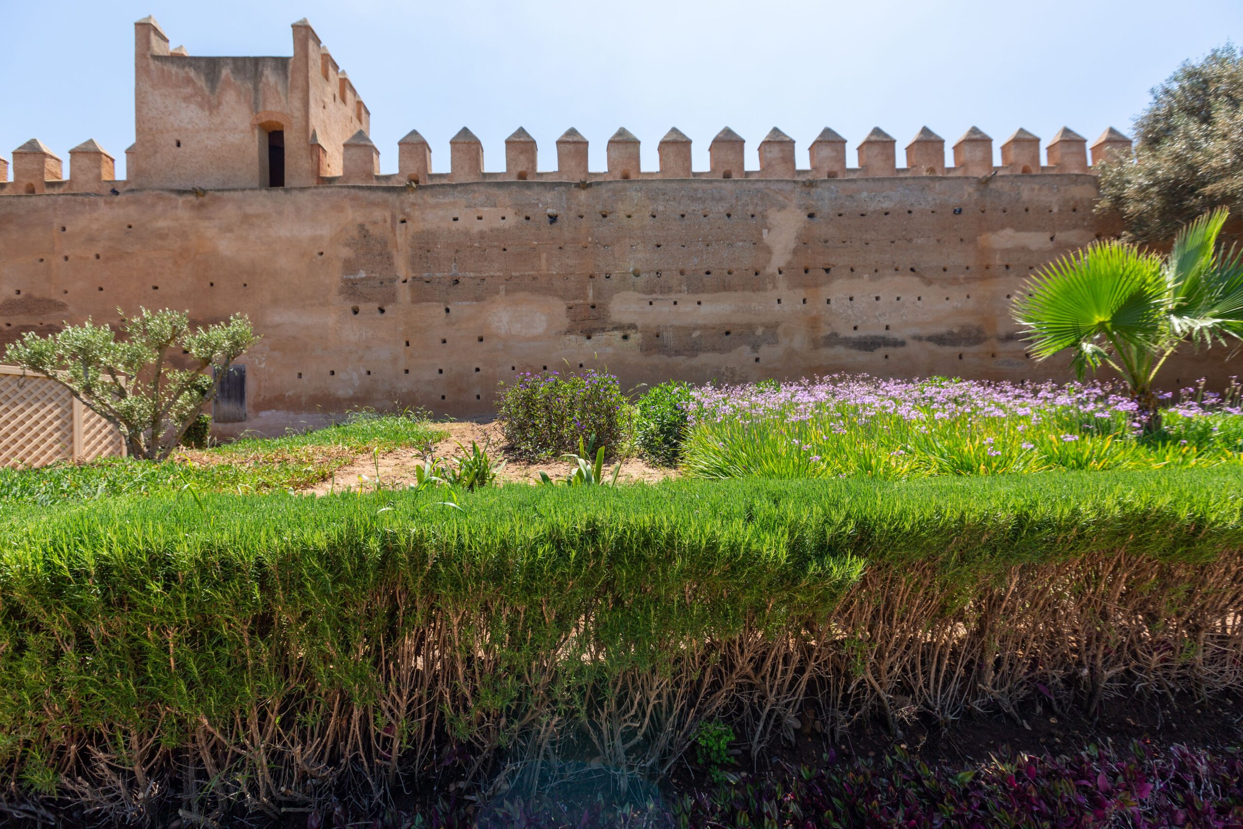 Rabat. Le site Chellah, restauré, rouvre ses portes - Le guide du Maroc